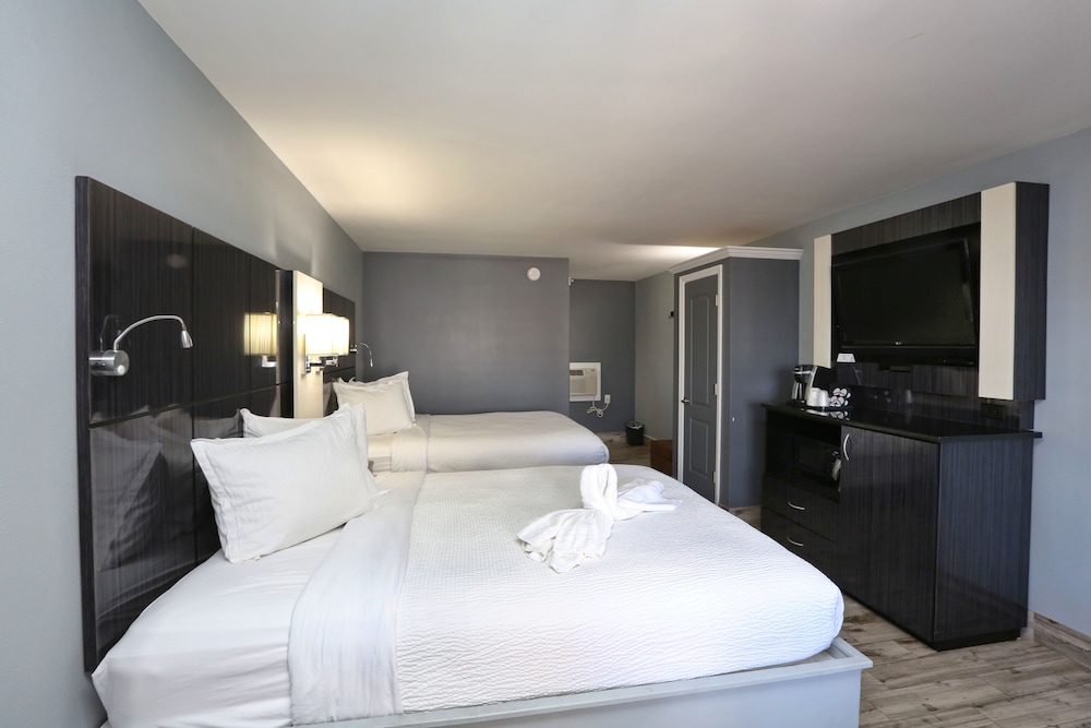 Standard Single Room, 1 King Bed, Accessible photo 2