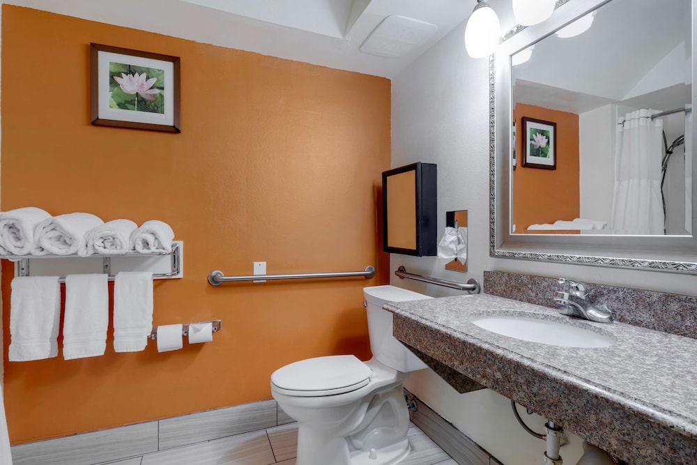 Standard Room, 1 King Bed, Accessible, Bathtub (with Sofabed) - Photo 4