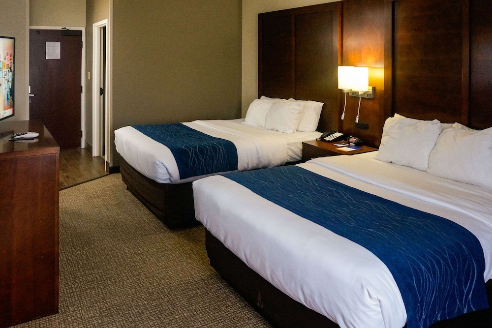 Suite, Multiple Beds, Non Smoking photo 3