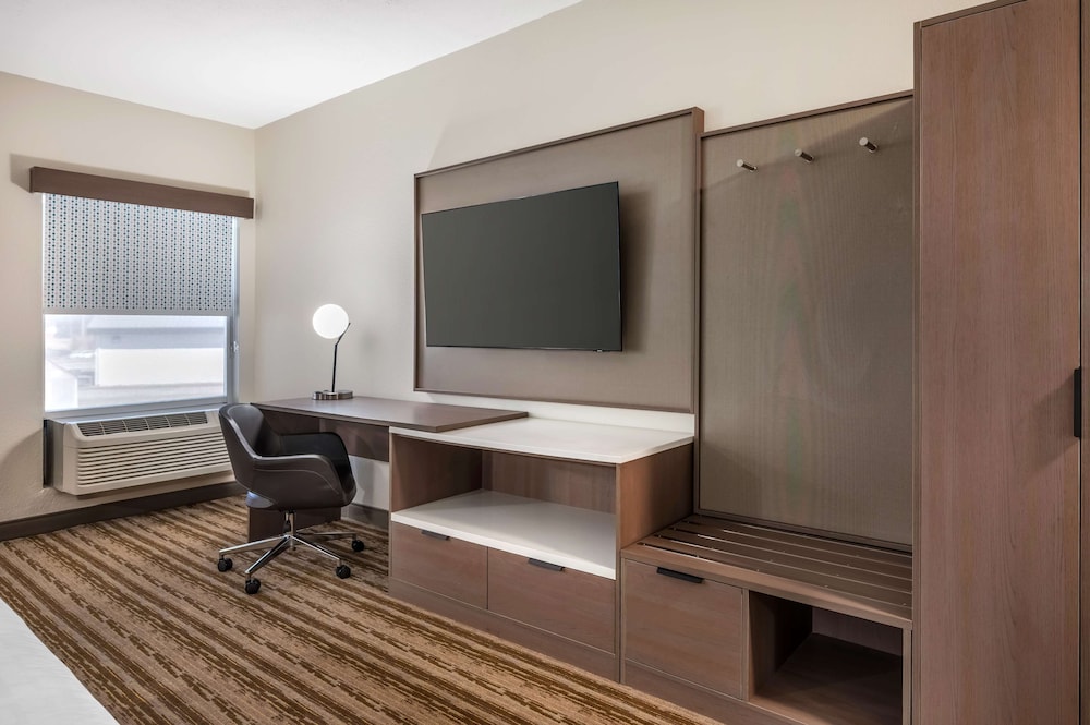 Standard Room, 1 King Bed, Non Smoking, Refrigerator & Microwave (with Sofabed) photo 3