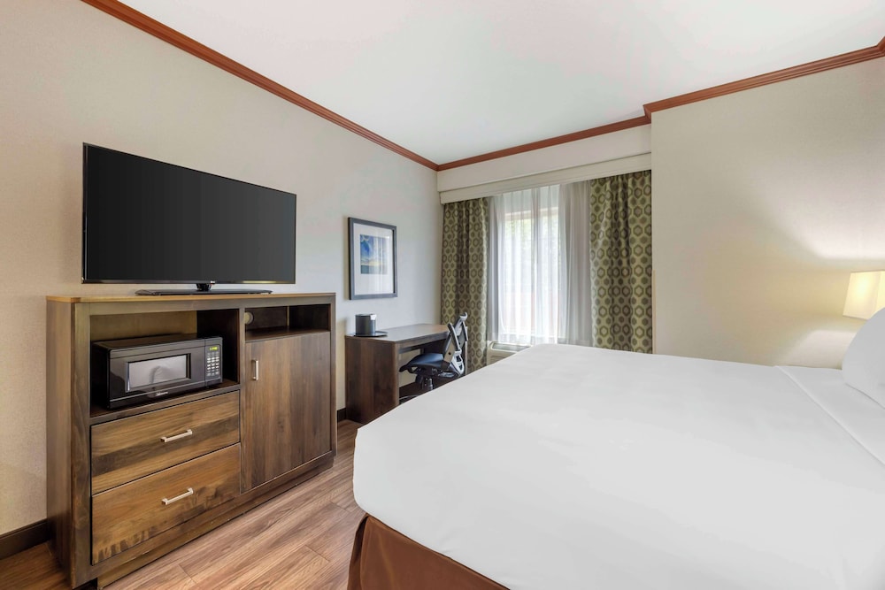 Standard Room, 1 King Bed, Non Smoking, Microwave - Photo 2