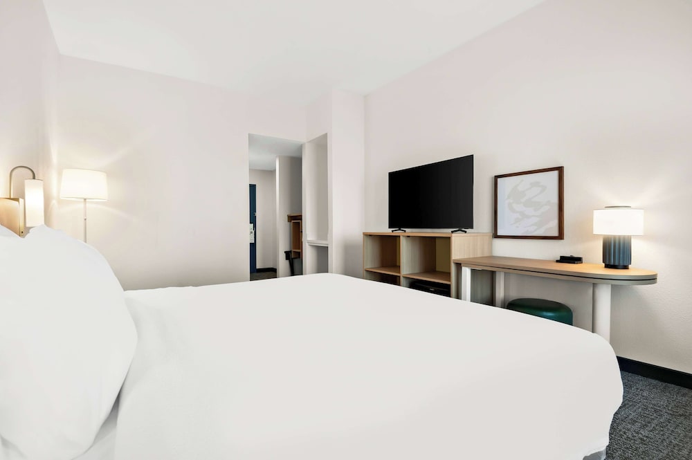 Room, 1 King Bed, Accessible (Mobility, Roll-In Shower) - Photo 2