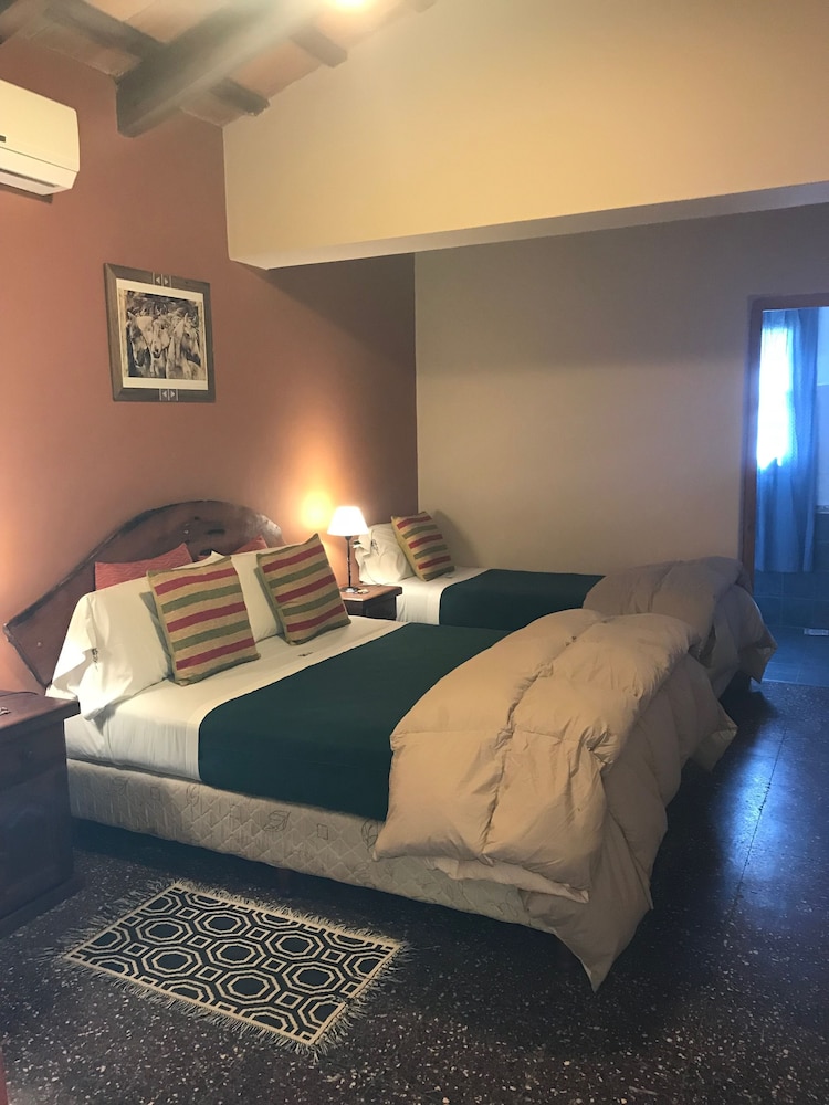 Twin Room photo 1