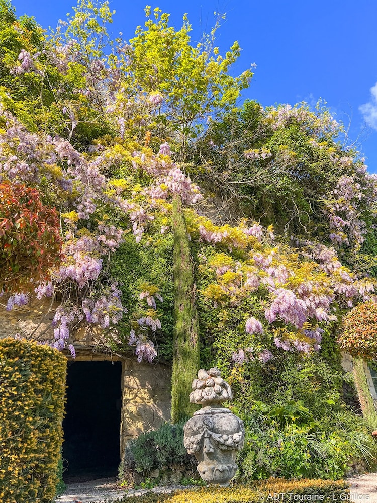 Superior Suite, Ensuite, Garden View (Suite Boisdenier ) - Photo 9