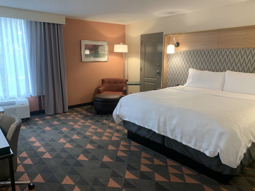 Suite, 1 King Bed - Photo 4