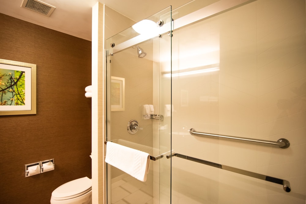 Executive Studio, 1 King Bed with Sofa bed (Hearing Accessible) - Photo 9