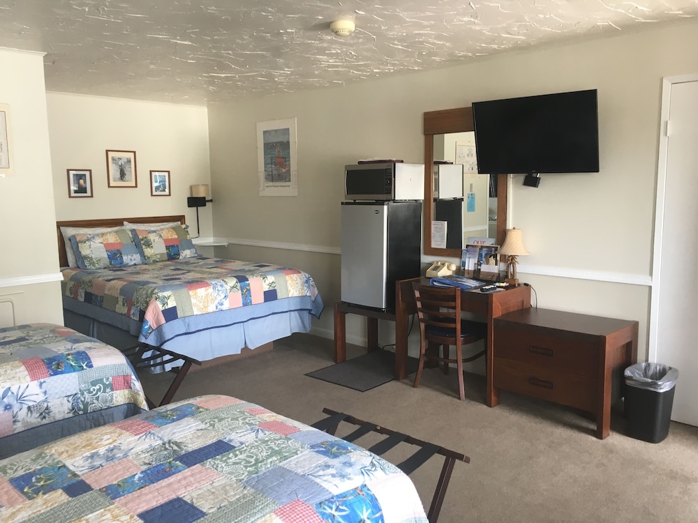 Standard Single Room, Multiple Beds, Non Smoking photo 2