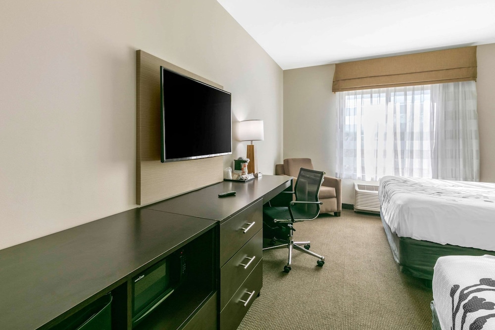Room, Multiple Beds, Non Smoking photo 1