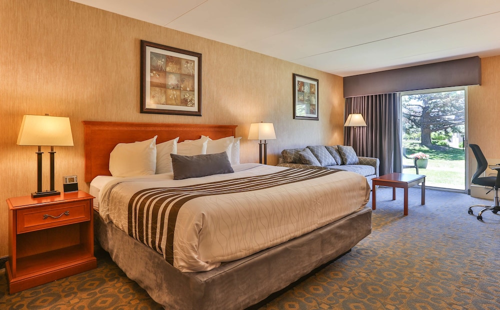 Standard Room, 1 Queen Bed, Non Smoking (with Sofabed) - Photo 8