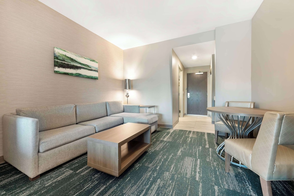 Suite, 1 King Bed, Non Smoking (with Sofabed) - Photo 2