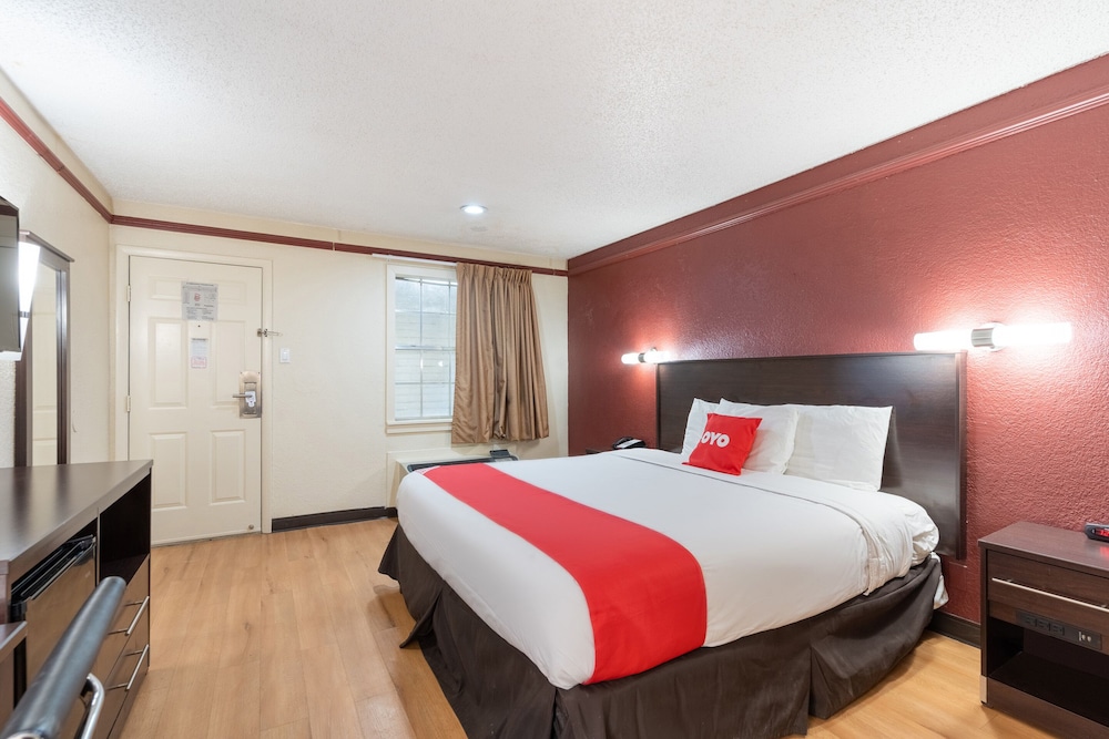 Room, 1 King Bed photo 1