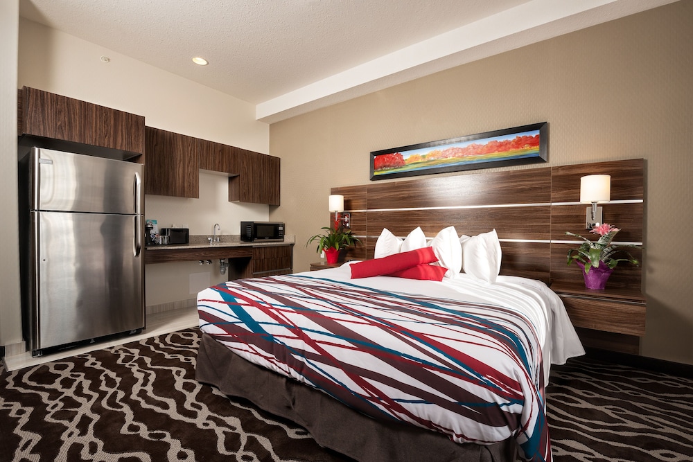 Accessible, Roll-in Shower, Standard Room, 1 King Bed photo 1