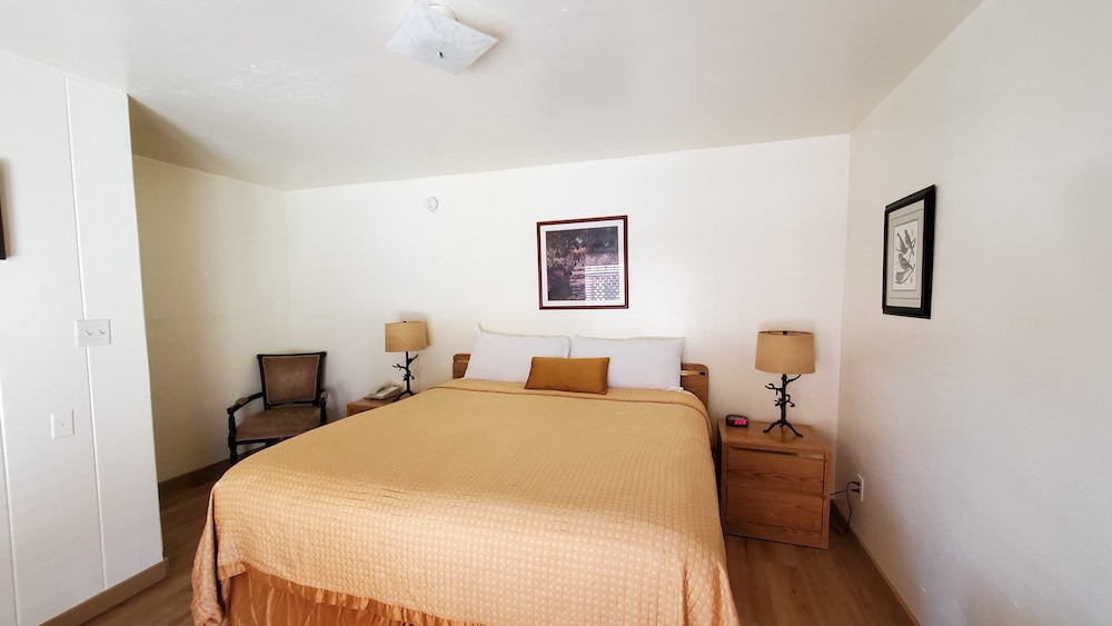 Room, 1 King Bed, Patio photo 1