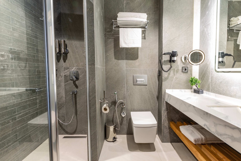 Deluxe Suite - Photo 6