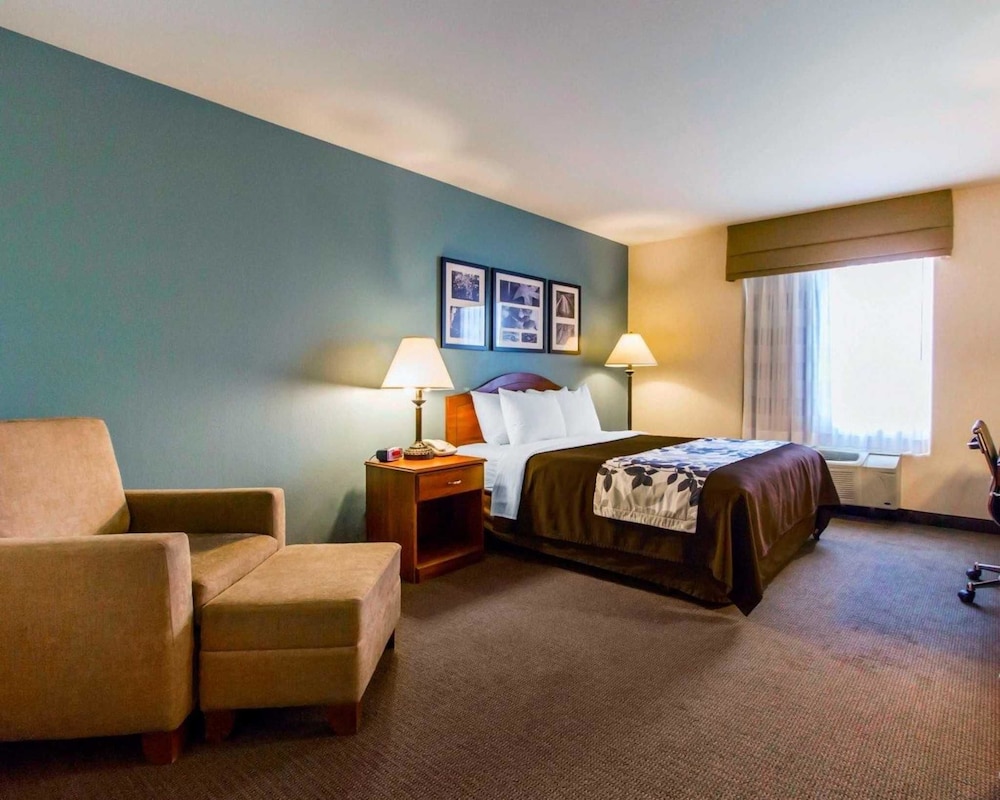 Room, 1 Queen Bed, Accessible, Non Smoking photo 2