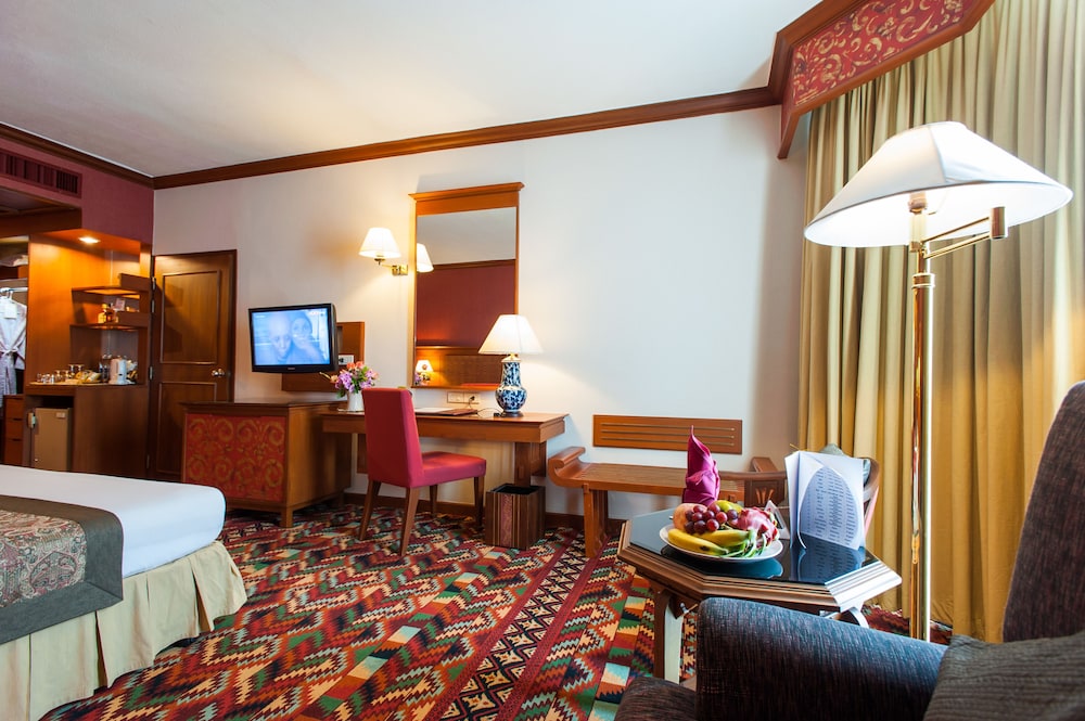 Deluxe Room - Photo 11