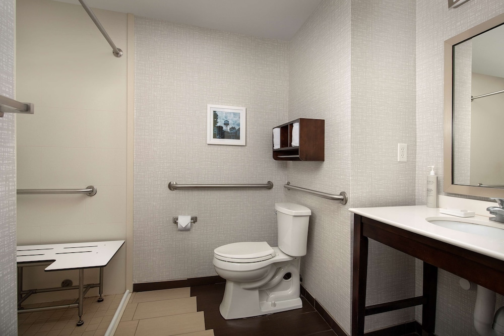Room, 1 King Bed, Accessible (Mobility/Hearing, Roll-in Shower) - Photo 6