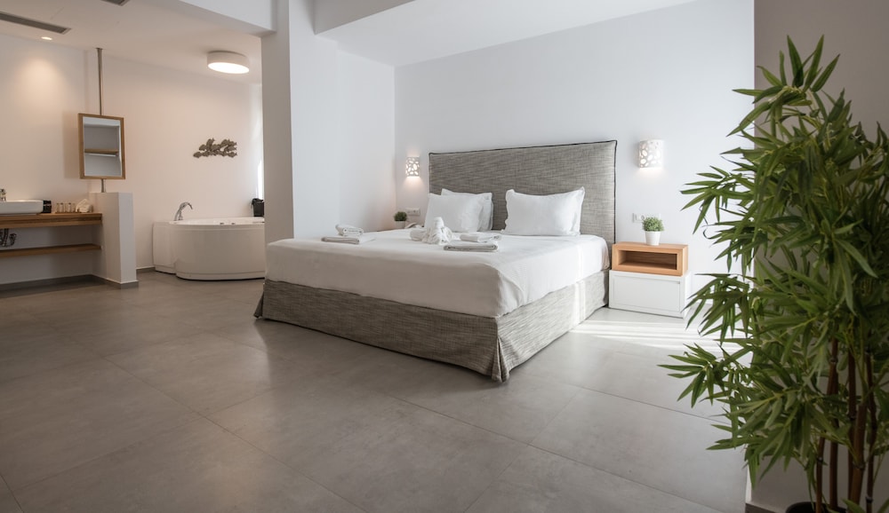 Honeymoon suite with indoor jacuzzi