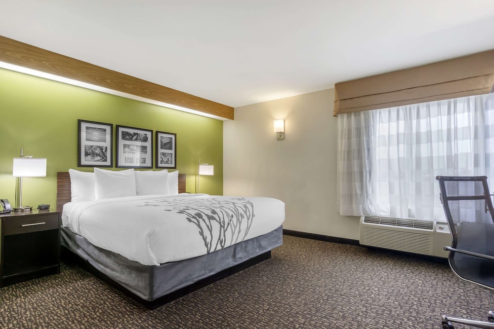Room, 1 King Bed with Sofa bed, Accessible, Non Smoking (Upgrade) - Photo 1