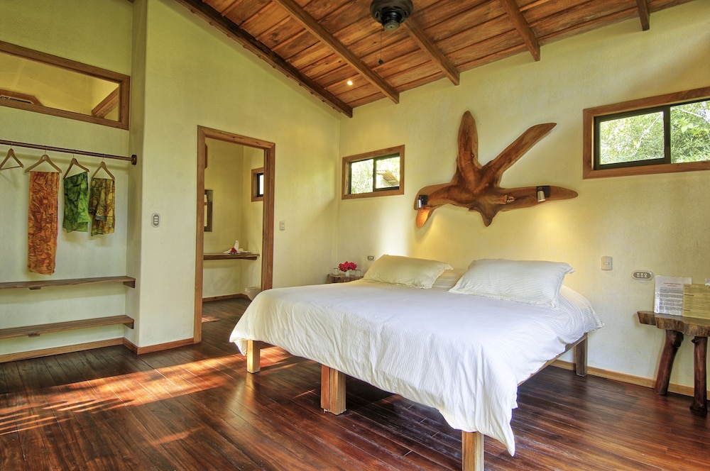 Room (Jungle)