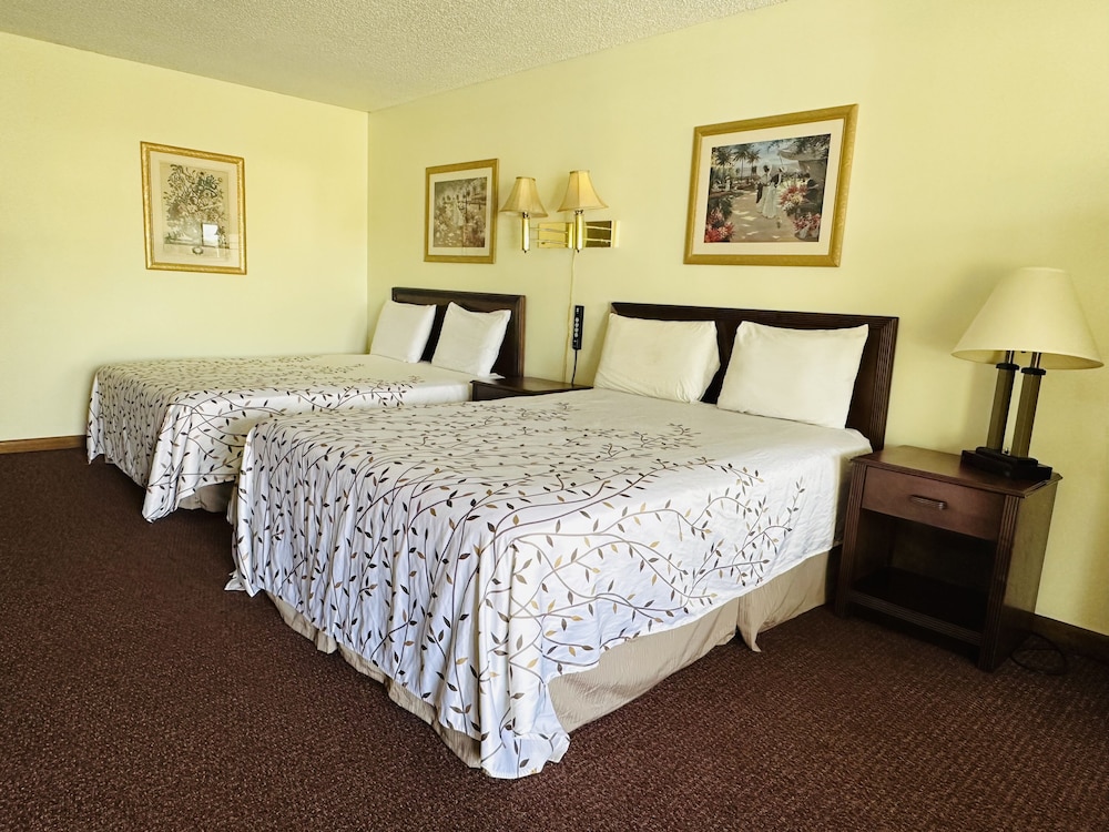 Standard Double or Twin Room photo 1