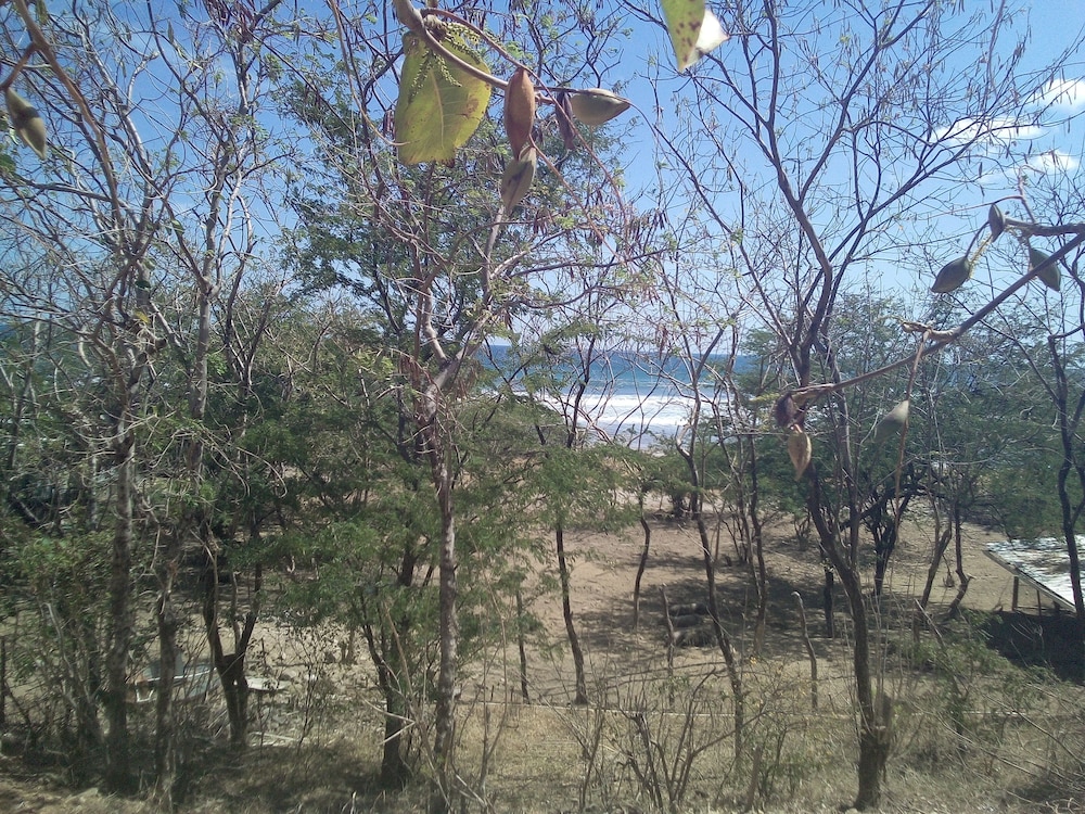 Family Single Room, Beach View, Garden Area photo 3