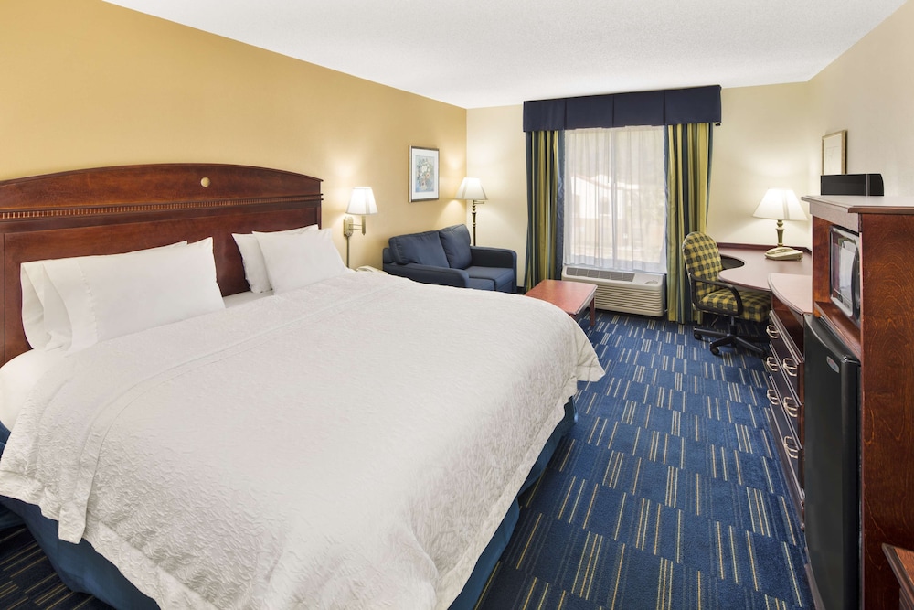 Room, 1 King Bed, Accessible - Photo 1