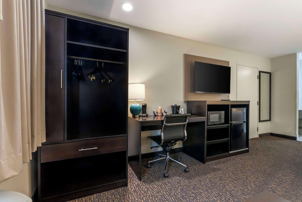 Suite, 1 King Bed, Non Smoking - Photo 3