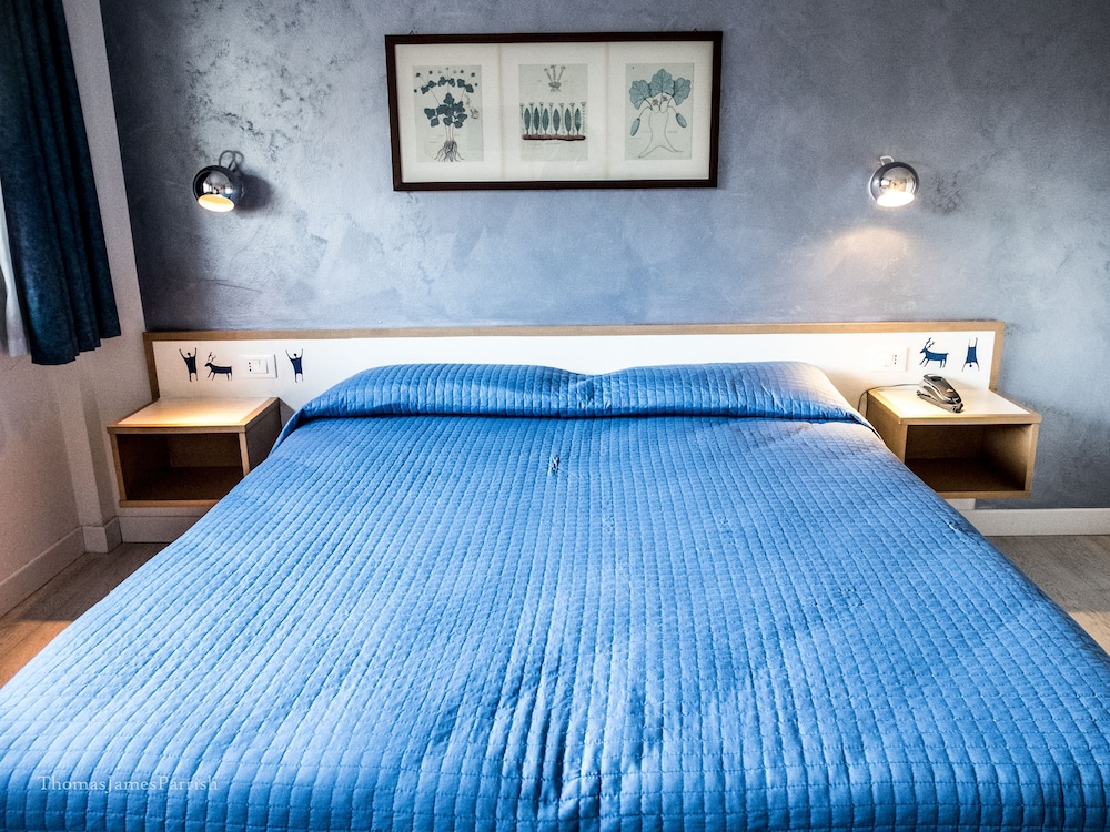 Basic Double or Twin Room, Mountain View