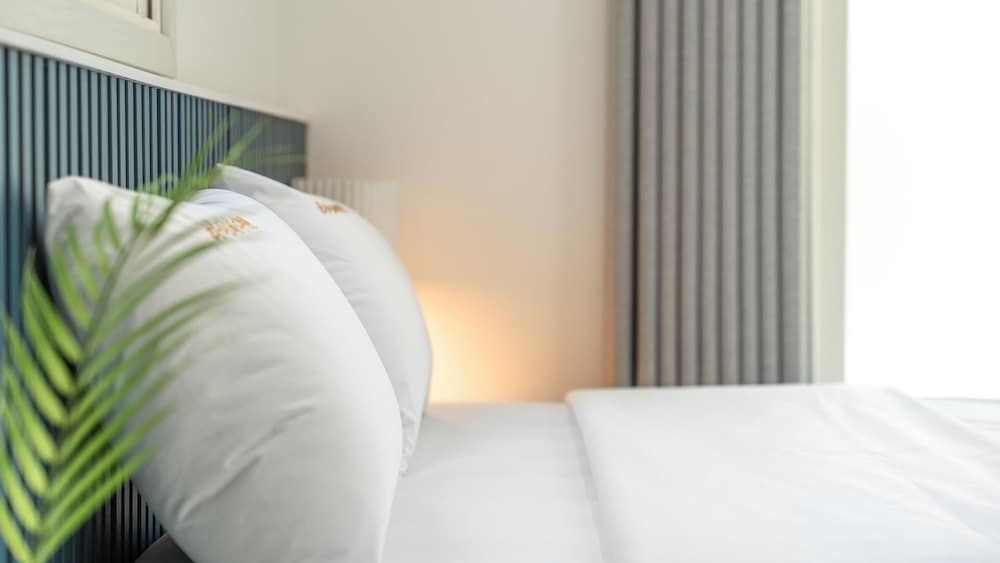 Basic Room, 1 Bedroom (stay C)