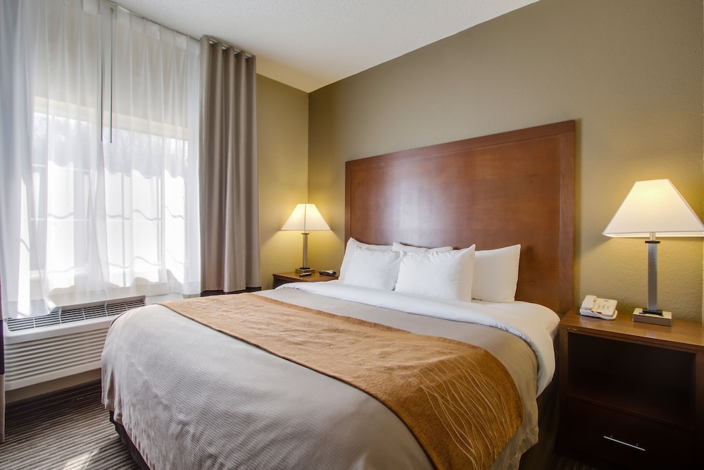 Suite, 1 King Bed with Sofa bed, Non Smoking photo 2