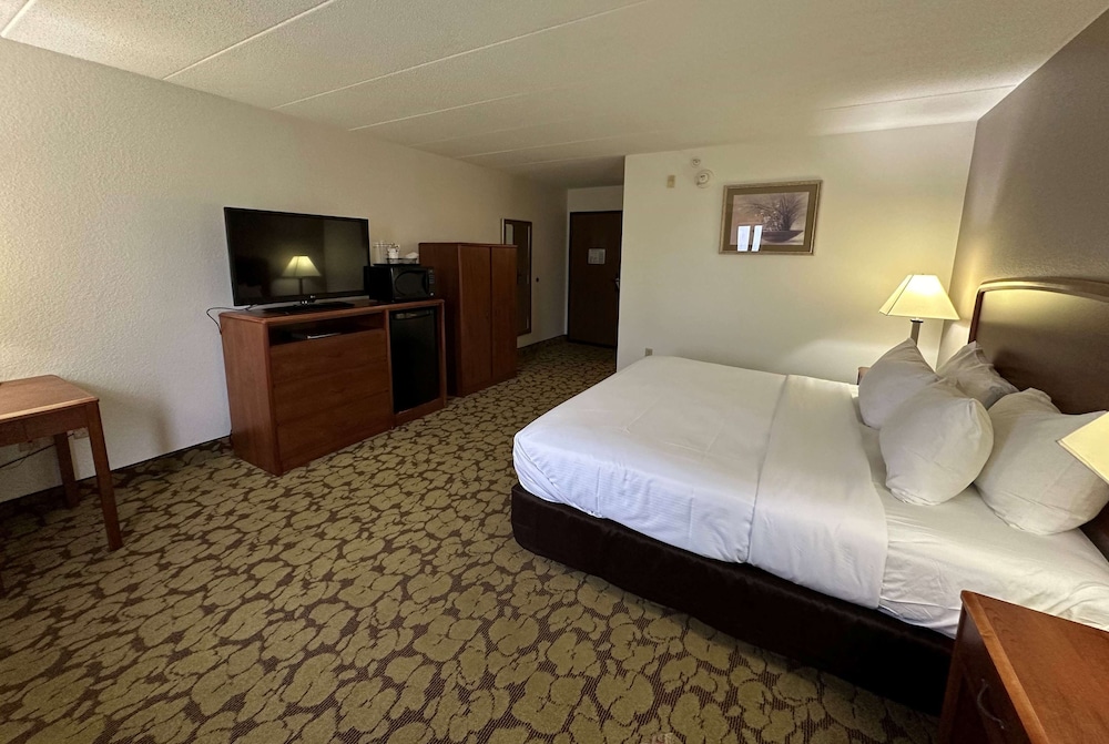 Room, 1 King Bed, Non Smoking - Photo 1