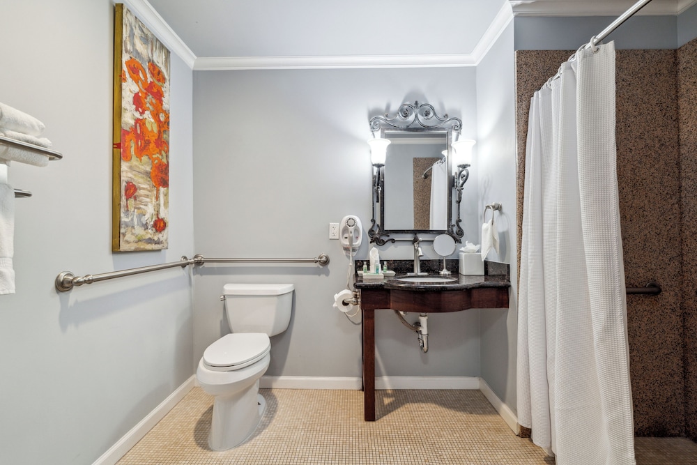 Premium Room, 1 King Bed, Mobility Accessible (Premium King Room) - Photo 4