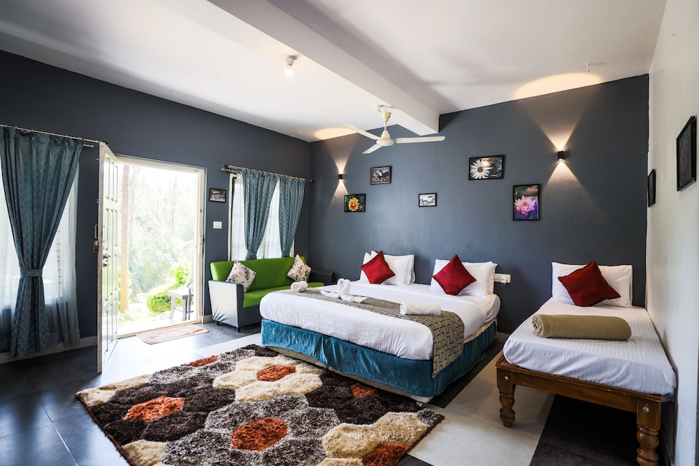Deluxe Room photo 3