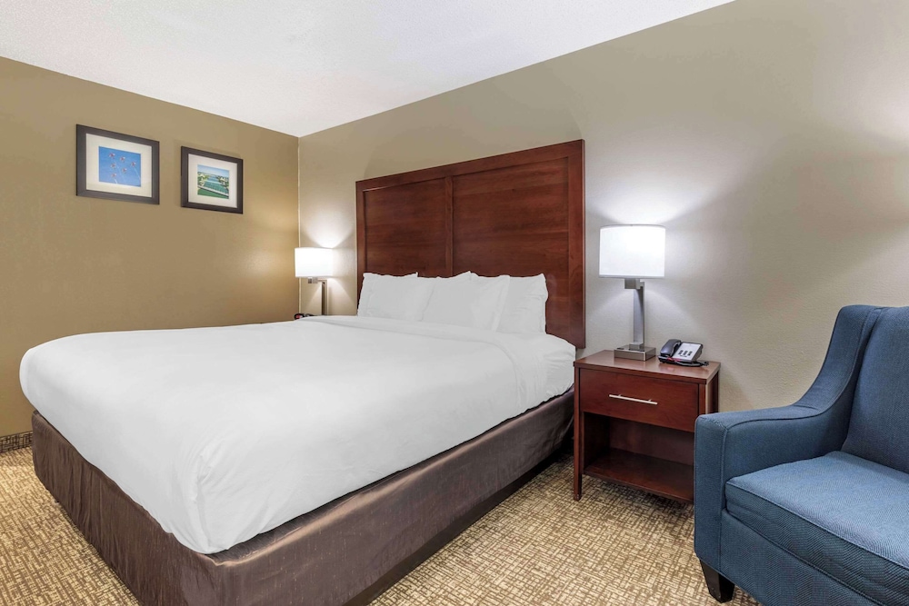 Standard Room, 1 King Bed, Non Smoking - Photo 4