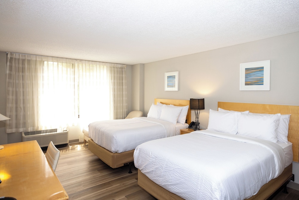 Two Double Beds photo 1
