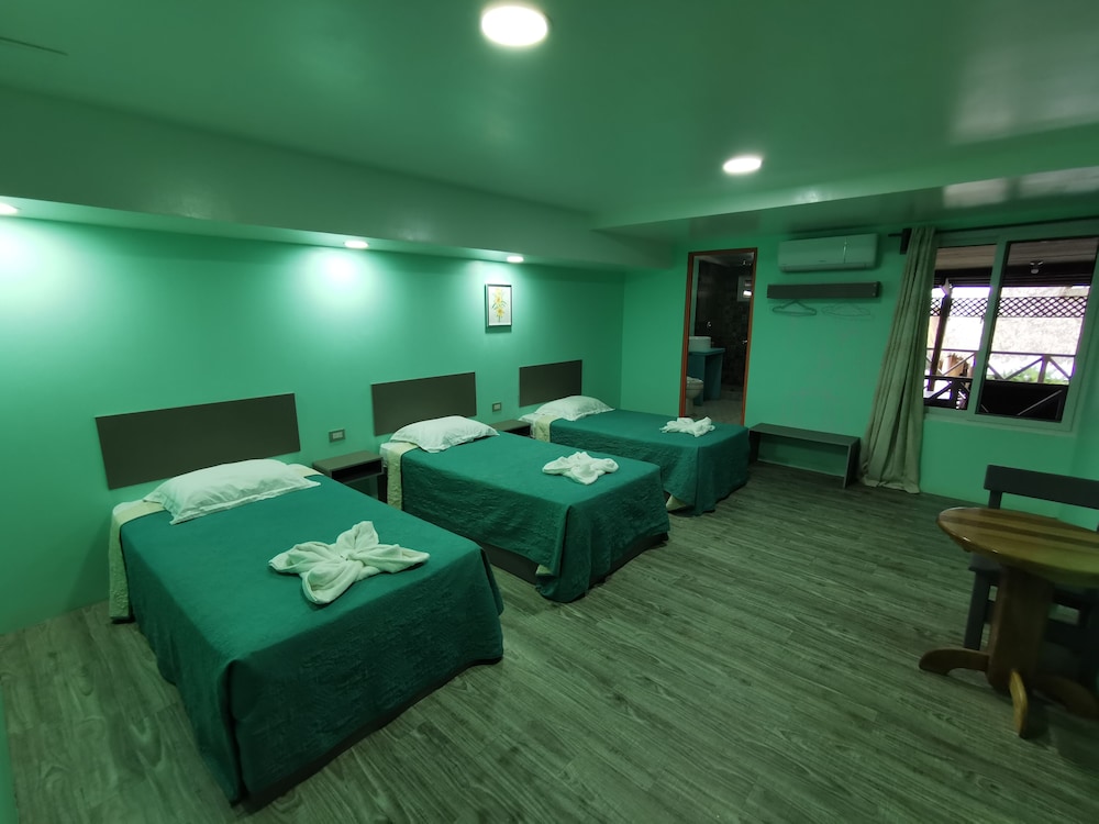 Basic Triple Room photo 3