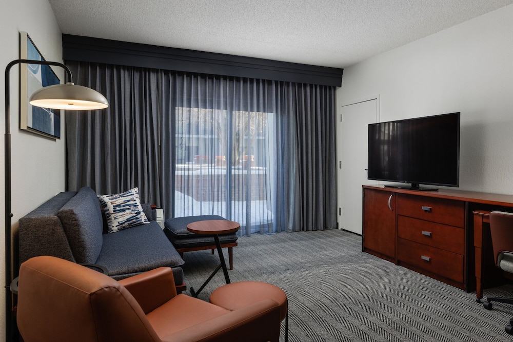 Suite, 1 King Bed with Sofa bed photo 3