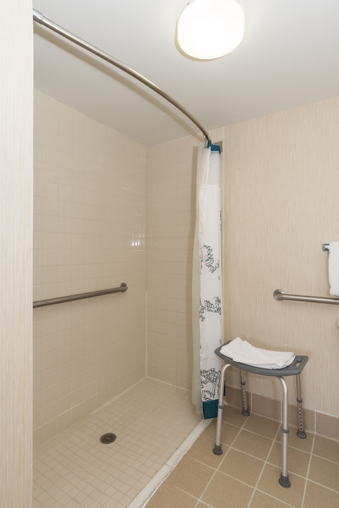 Suite, 1 King Bed with Sofa bed (Mobility/Hearing Access, Roll-In Shwr)