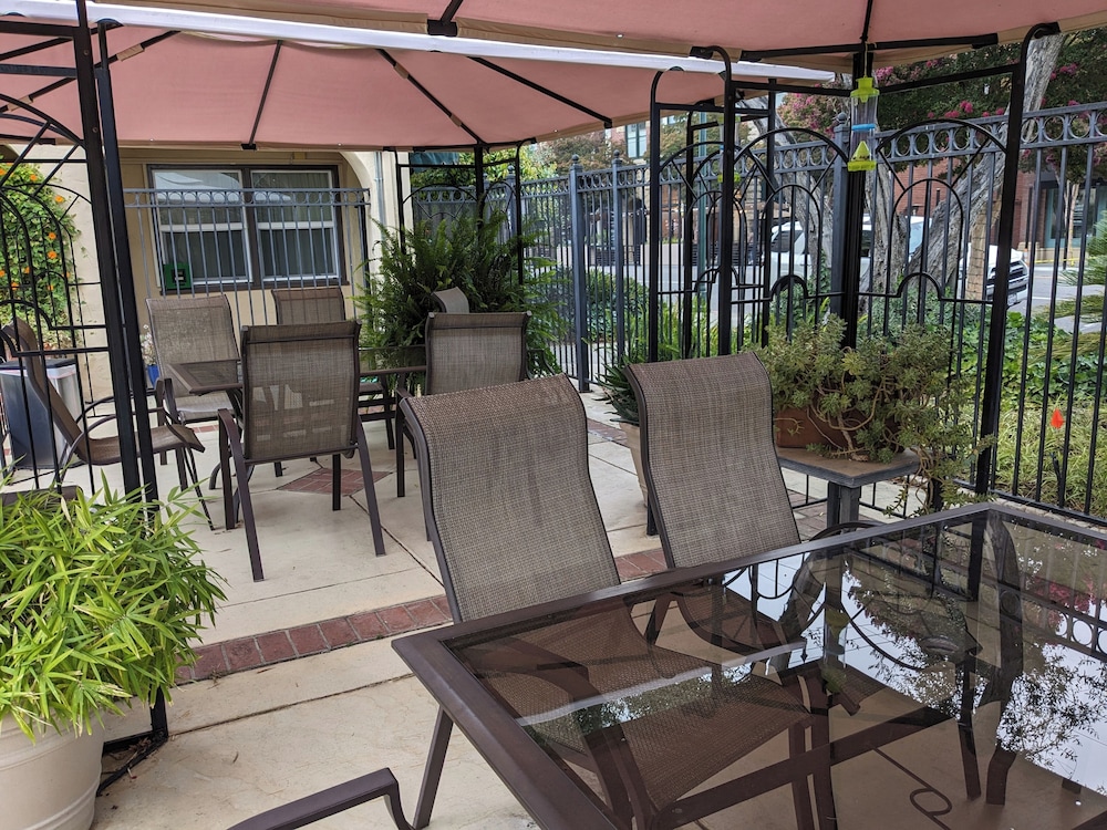 Patio King photo 2