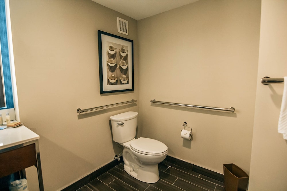 Suite, 1 King Bed (Mobility & Hearing, Roll-in Shower) - Photo 5