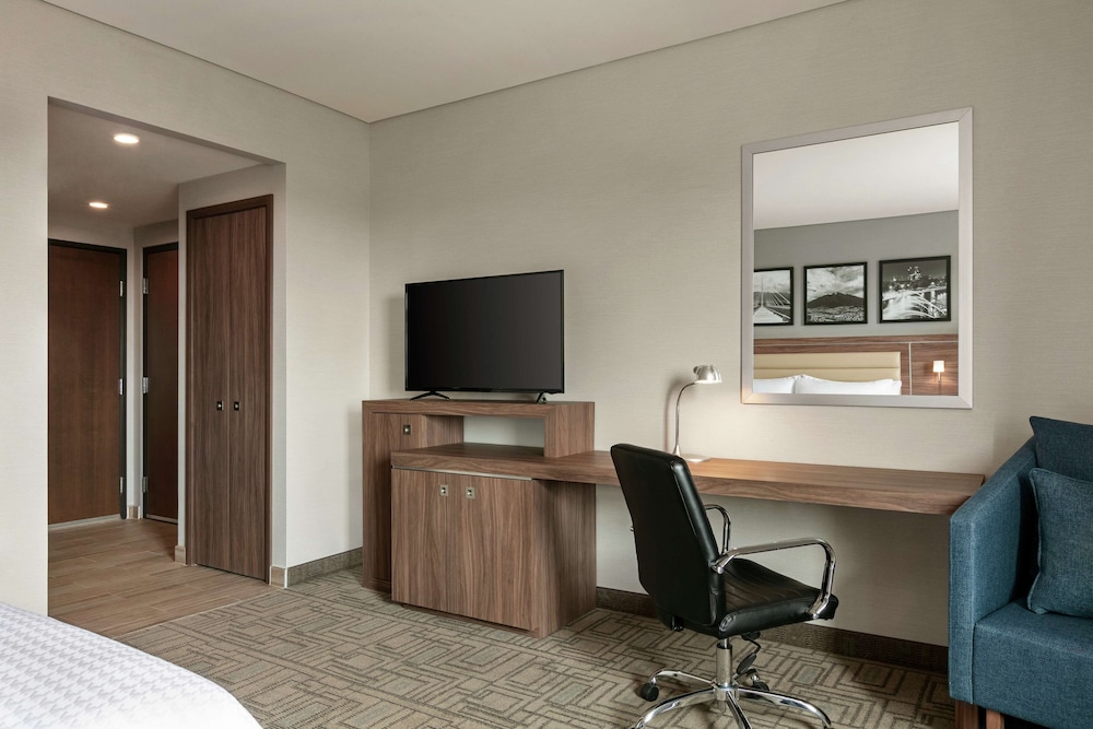 Room, 1 King Bed, Non Smoking (Mini Fridge)