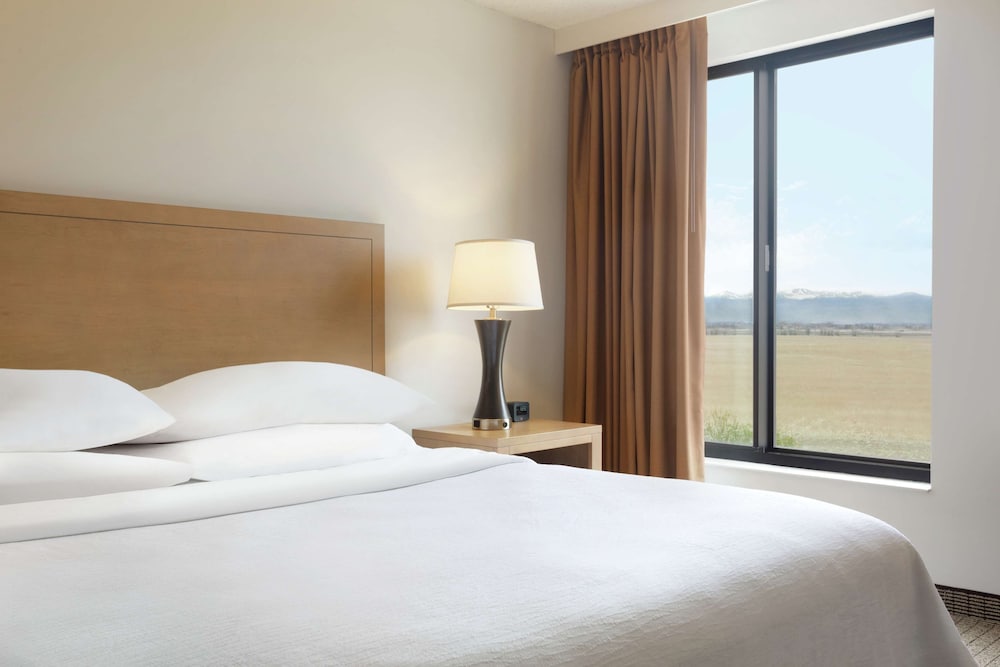 Suite, 1 King Bed, Accessible, Bathtub (Mobility & Hearing) - Photo 4