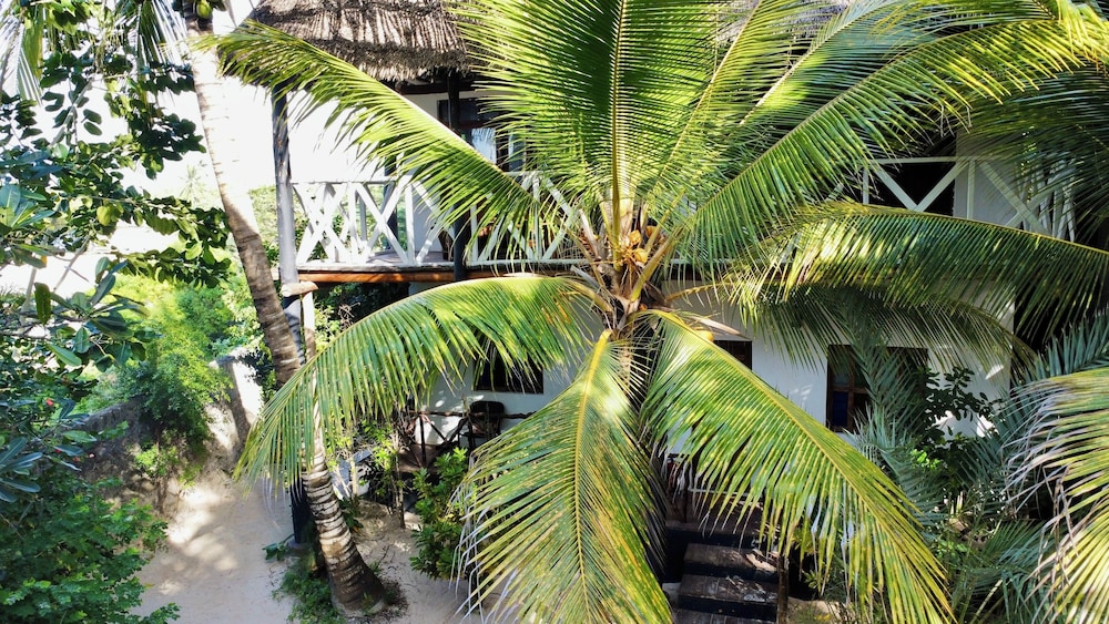 Superior Quadruple Room, 1 Bedroom, Non Smoking, Partial Ocean View (Bungalow) photo 3