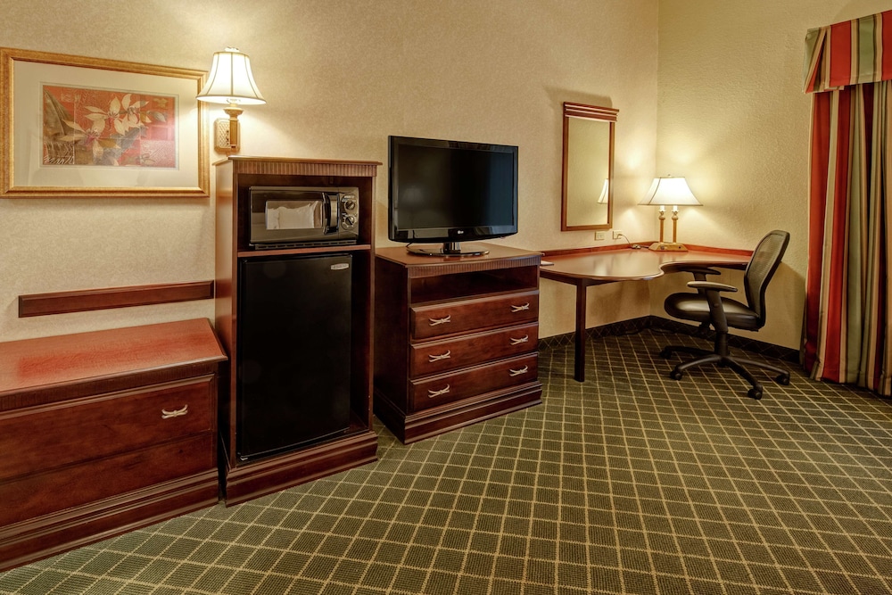 Room, 1 King Bed, Accessible, Bathtub (Mobility & Hearing)