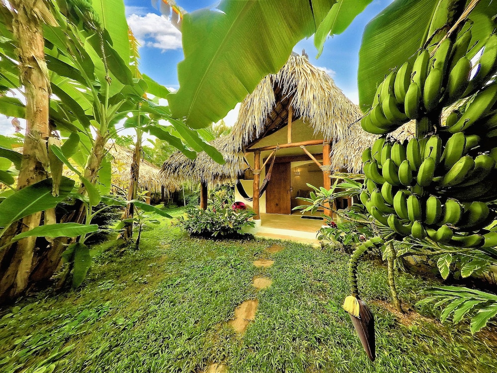Romantic Room, 1 King Bed, Garden View