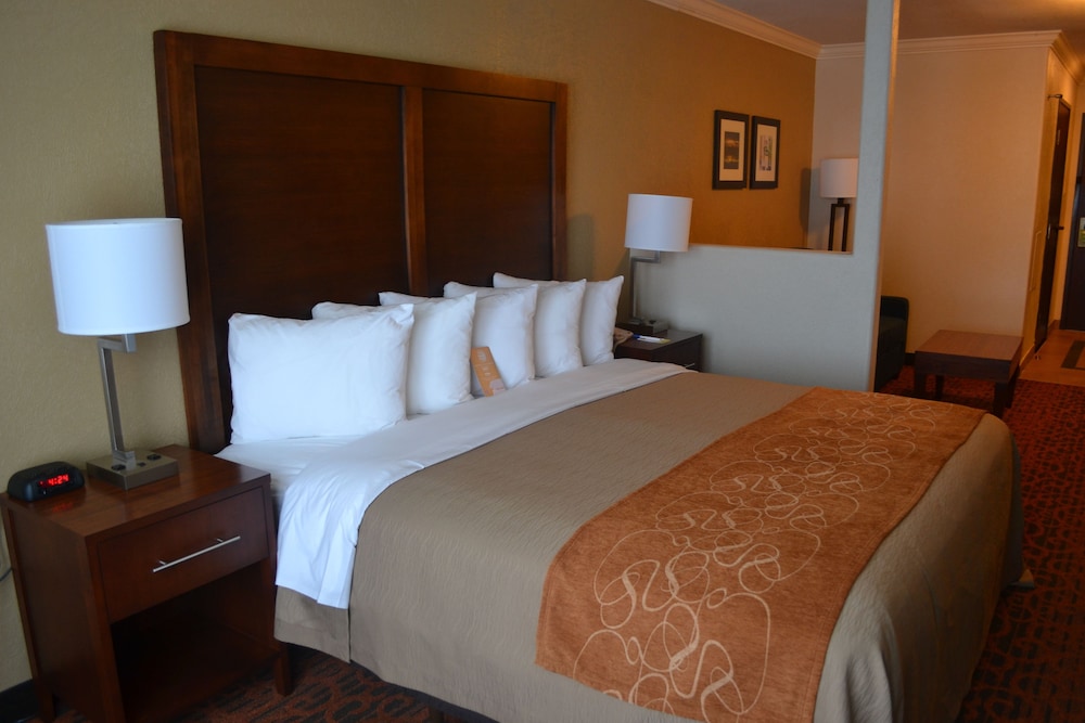 Suite, Non Smoking (1 King Bed, Efficiency, Upgrade) - Photo 1