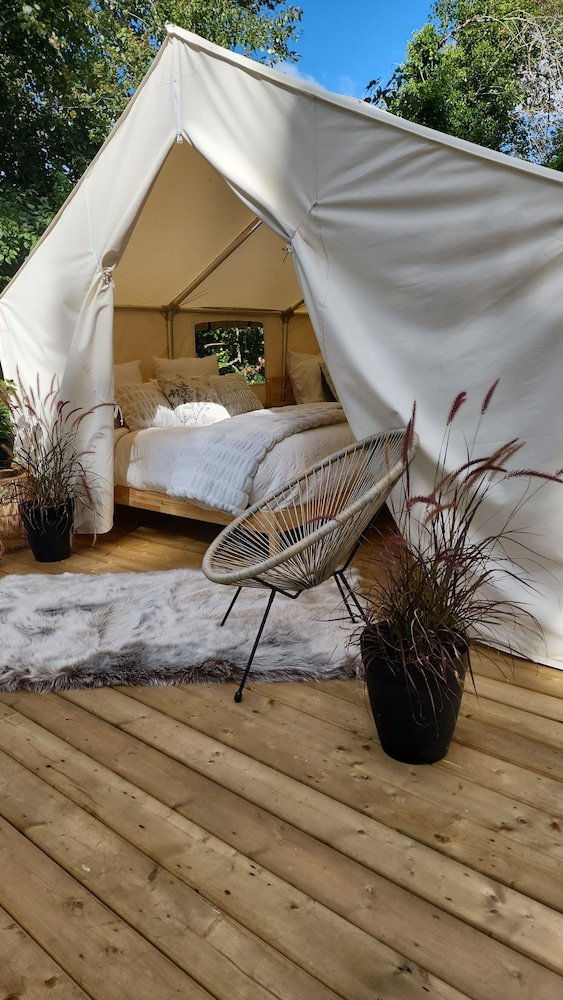 Elite Cabin photo 1