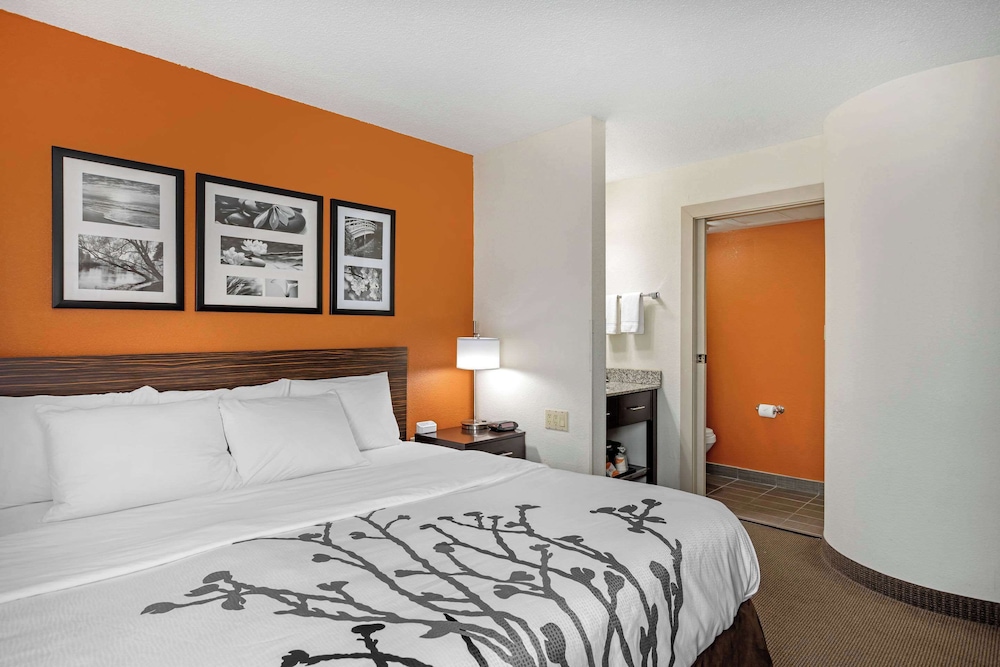 Standard Room, 1 King Bed, Non Smoking - Photo 8