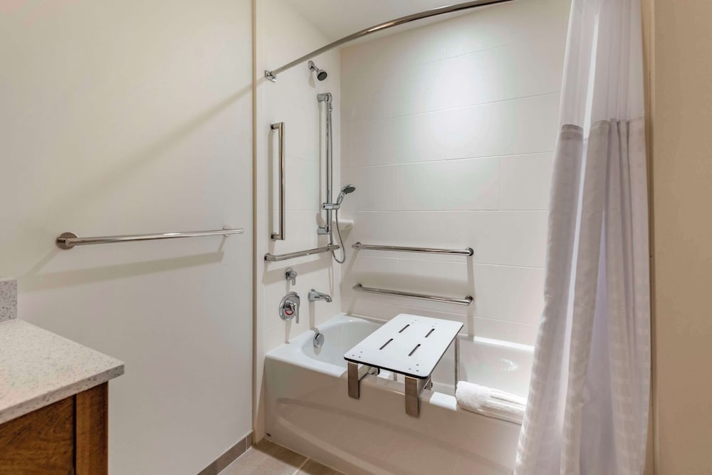 Room, 1 King Bed, Accessible, Non Smoking (Roll-In Shower) - Photo 4